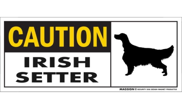 画像1: [MAGSIGN] アイリッシュセッター マグネット＆ステッカー 英語 警戒 CAUTION IRISH SETTER 対象:車(ドア/ガラス/ボディ)・屋外(玄関扉/窓ガラス/メールポスト) 日本製 (1)