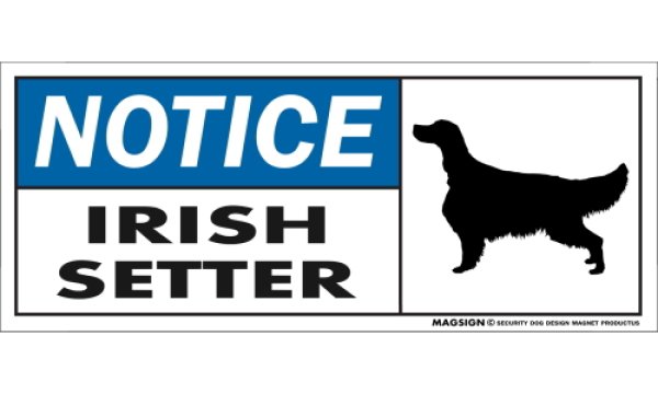 画像1: [MAGSIGN] アイリッシュセッター マグネット＆ステッカー 英語 お知らせ NOTICE IRISH SETTER 対象:車(ドア/ガラス/ボディ)・屋外(玄関扉/窓ガラス/メールポスト) 日本製 (1)