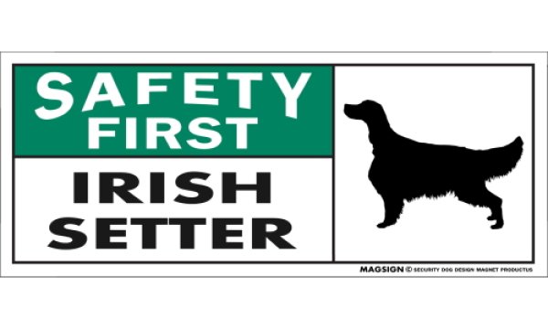 画像1: [MAGSIGN] アイリッシュセッター マグネット＆ステッカー 英語 安全第一 SAFETY FIRST IRISH SETTER 対象:車(ドア/ガラス/ボディ)・屋外(玄関扉/窓ガラス/メールポスト) 日本製 (1)