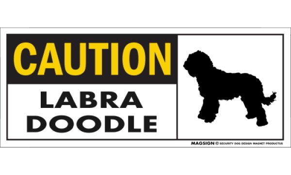 画像1: [MAGSIGN] ラブラドゥードル マグネット＆ステッカー 英語 警戒 CAUTION LABRADOODLE 対象:車(ドア/ガラス/ボディ)・屋外(玄関扉/窓ガラス/メールポスト) 日本製 (1)