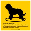 画像2: AUSTRALIAN LABRADOODLE'S POEM [MAGSIGN] ポエムシリーズ マグネット＆ステッカー 防水/耐水・耐光性 日本製 英語＆シルエット：オーストラリアン・ラブラドゥードル（ホワイト/イエロー） (2)