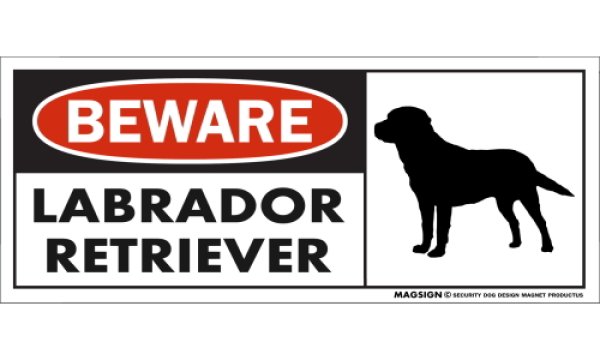 画像1: [MAGSIGN] ラブラドールレトリーバー マグネット＆ステッカー 犬 注意 英語 BEWARE LABRADOR RETRIEVER 対象:車(ドア/ガラス/ボディ)・屋外(玄関扉/窓ガラス/メールポスト) 日本製 (1)