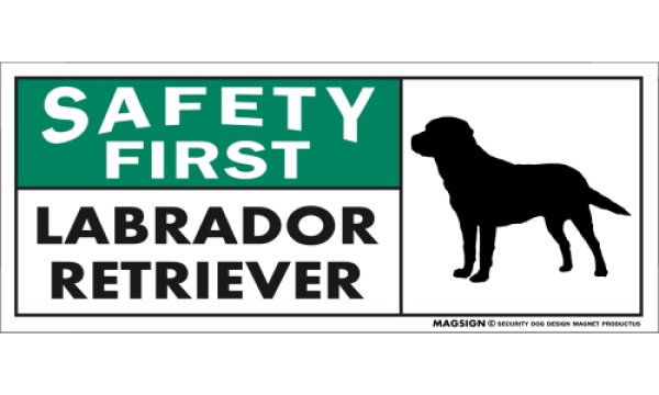 画像1: [MAGSIGN] ラブラドールレトリーバー マグネット＆ステッカー 英語 安全第一 SAFETY FIRST LABRADOR RETRIEVER 対象:車(ドア/ガラス/ボディ)・屋外(玄関扉/窓ガラス/メールポスト) 日本製 (1)