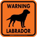 画像4: [MAGSIGN] WARNING LABRADOR マグネット＆ステッカー：ラブラドール(ホワイト/イエロー/オレンジ) 注意 英語 正方形 車＆屋外用(防水性/耐光性) 日本製 (4)