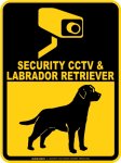 画像2: ラブラドールレトリバー＆防犯カメラ 監視 警戒中 英語 マグサイン(マグネット/ステッカー)：SECURITY CCTV ＆ LABRADOR RETRIEVER [MAGSIGN] (2)