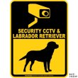 画像3: ラブラドールレトリーバー＆防犯カメラ 監視 警戒中 英語 マグサイン(マグネット/ステッカー)：SECURITY CCTV ＆ LABRADOR RETRIEVER [MAGSIGN] (3)