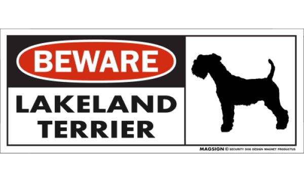 画像1: [MAGSIGN] レイクランドテリア マグネット＆ステッカー 犬 注意 英語 BEWARE LAKELAND TERRIER 対象:車(ドア/ガラス/ボディ)・屋外(玄関扉/窓ガラス/メールポスト) 日本製 (1)