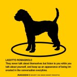 画像2: LAGOTTO ROMAGNOLO'S POEM [MAGSIGN] ポエムシリーズ マグネット＆ステッカー 防水/耐水・耐光性 日本製 英語＆シルエット：ラゴットロマニョーロ（ホワイト/イエロー） (2)