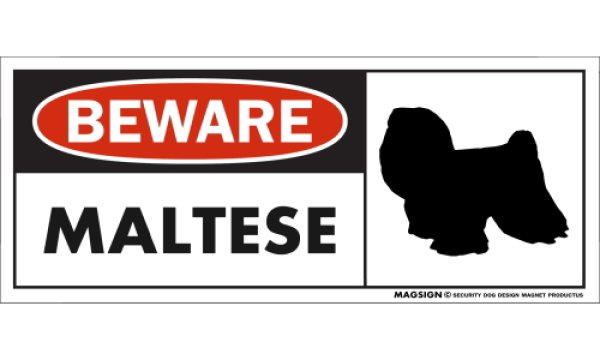 画像1: [MAGSIGN] マルチーズ(フルコート) マグネット＆ステッカー 犬 注意 英語 BEWARE MALTESE 対象:車(ドア/ガラス/ボディ)・屋外(玄関扉/窓ガラス/メールポスト) 日本製 (1)