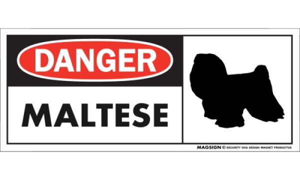 画像1: [MAGSIGN] マルチーズ(フルコート) マグネット＆ステッカー 英語 危ない 危険 DANGER MALTESE 対象:車(ドア/ガラス/ボディ)・屋外(玄関扉/窓ガラス/メールポスト) 日本製 (1)