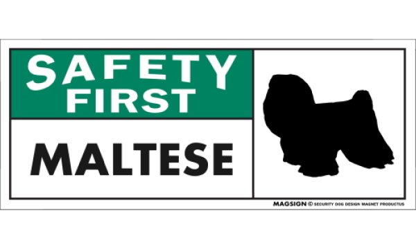 画像1: [MAGSIGN] マルチーズ(フルコート) マグネット＆ステッカー 英語 安全第一 SAFETY FIRST MALTESE 対象:車(ドア/ガラス/ボディ)・屋外(玄関扉/窓ガラス/メールポスト) 日本製 (1)