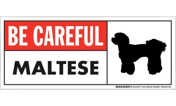 画像1: [MAGSIGN] マルチーズ(パピーカット) マグネット＆ステッカー (犬)気を付けて 英語 BE CAREFUL MALTESE 対象:車(ドア/ガラス/ボディ)・屋外(玄関扉/窓ガラス/メールポスト) 日本製 (1)