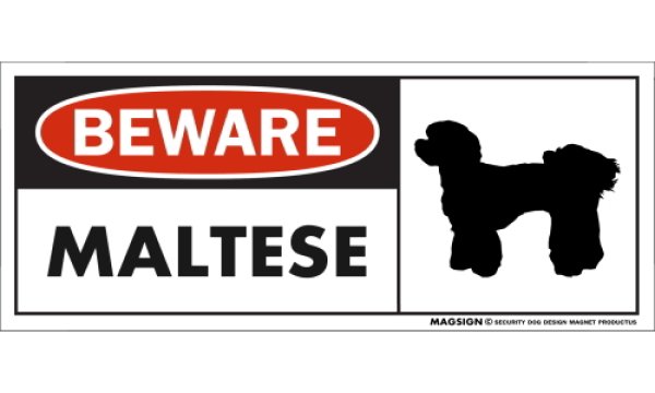 画像1: [MAGSIGN] マルチーズ(パピーカット) マグネット＆ステッカー 犬 注意 英語 BEWARE MALTESE 対象:車(ドア/ガラス/ボディ)・屋外(玄関扉/窓ガラス/メールポスト) 日本製 (1)