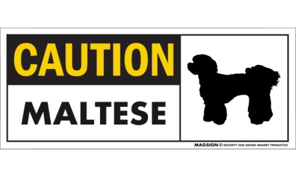 画像1: [MAGSIGN] マルチーズ(パピーカット) マグネット＆ステッカー 英語 警戒 CAUTION MALTESE 対象:車(ドア/ガラス/ボディ)・屋外(玄関扉/窓ガラス/メールポスト) 日本製 (1)