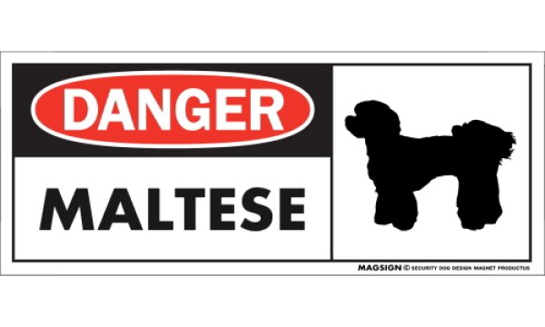 画像1: [MAGSIGN] マルチーズ(パピーカット) マグネット＆ステッカー 英語 危ない 危険 DANGER MALTESE 対象:車(ドア/ガラス/ボディ)・屋外(玄関扉/窓ガラス/メールポスト) 日本製 (1)