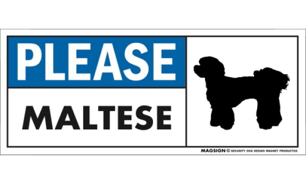 画像1: [MAGSIGN] マルチーズ(パピーカット) マグネット＆ステッカー 犬 英語 喜ばせる 満足させる PLEASE MALTESE 対象:車(ドア/ガラス/ボディ)・屋外(玄関扉/窓ガラス/メールポスト) 日本製 (1)