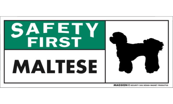 画像1: [MAGSIGN] マルチーズ(パピーカット) マグネット＆ステッカー 英語 安全第一 SAFETY FIRST MALTESE 対象:車(ドア/ガラス/ボディ)・屋外(玄関扉/窓ガラス/メールポスト) 日本製 (1)