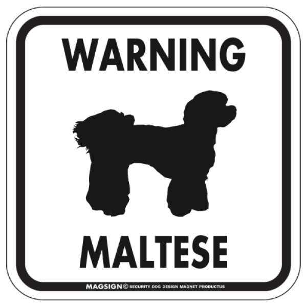 画像1: [MAGSIGN] WARNING MALTESE マグネット＆ステッカー：マルチーズ(ホワイト/イエロー/オレンジ) 注意 英語 正方形 車＆屋外用(防水性/耐光性) 日本製 (1)