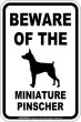 画像1: [MAGSIGN] ミニチュアピンシャー 注意 英語 マグネット＆ステッカー BEWARE OF THE MINIATURE PINSCHER 車/屋外用 日本製 (1)