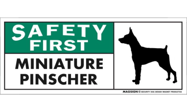 画像1: [MAGSIGN] ミニチュアピンシャー マグネット＆ステッカー 英語 安全第一 SAFETY FIRST MINIATURE PINSCHER 対象:車(ドア/ガラス/ボディ)・屋外(玄関扉/窓ガラス/メールポスト) 日本製 (1)