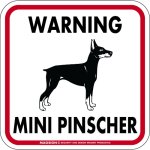 画像1: [MAGSIGN] WARNING MINI PINSCHER マグネット＆ステッカー：ミニチュアピンシャー(ホワイト/イエロー/オレンジ) 注意 英語 正方形 車＆屋外用(防水性/耐光性) 日本製 (1)