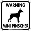 画像1: [MAGSIGN] WARNING MINI PINSCHER マグネット＆ステッカー：ミニチュアピンシャー(ホワイト/イエロー/オレンジ) 注意 英語 正方形 車＆屋外用(防水性/耐光性) 日本製 (1)
