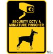 画像1: ミニチュアピンシャー＆防犯カメラ 監視 警戒中 英語 マグサイン(マグネット/ステッカー)：SECURITY CCTV ＆ MINIATURE PINSCHER [MAGSIGN] (1)