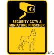 画像2: ミニチュアピンシャー＆防犯カメラ 監視 警戒中 英語 マグサイン(マグネット/ステッカー)：SECURITY CCTV ＆ MINIATURE PINSCHER [MAGSIGN] (2)