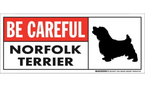 画像1: [MAGSIGN] ノーフォークテリア マグネット＆ステッカー (犬)気を付けて 英語 BE CAREFUL NORFOLK TERRIER 対象:車(ドア/ガラス/ボディ)・屋外(玄関扉/窓ガラス/メールポスト) 日本製 (1)