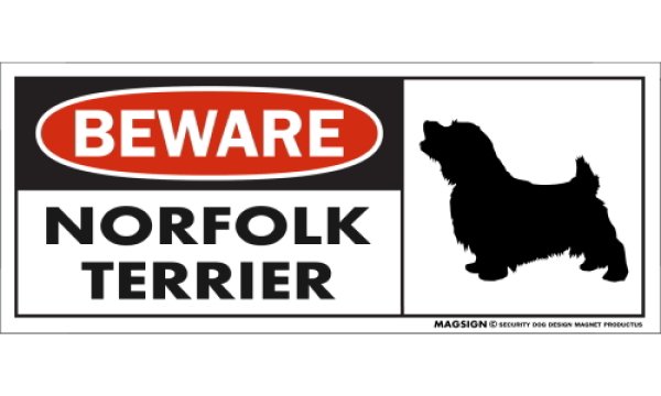 画像1: [MAGSIGN] ノーフォークテリア マグネット＆ステッカー 犬 注意 英語 BEWARE NORFOLK TERRIER 対象:車(ドア/ガラス/ボディ)・屋外(玄関扉/窓ガラス/メールポスト) 日本製 (1)