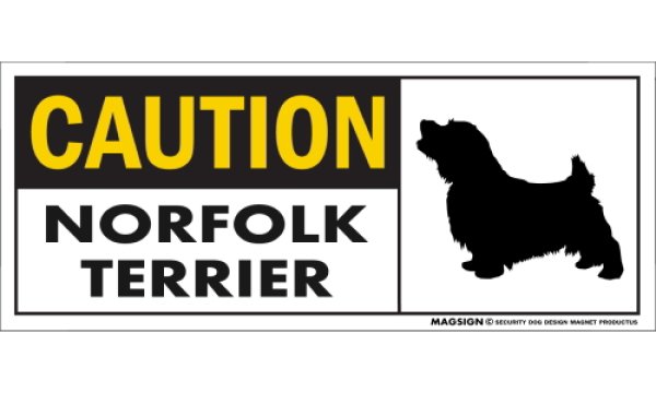 画像1: [MAGSIGN] ノーフォークテリア マグネット＆ステッカー 英語 警戒 CAUTION NORFOLK TERRIER 対象:車(ドア/ガラス/ボディ)・屋外(玄関扉/窓ガラス/メールポスト) 日本製 (1)