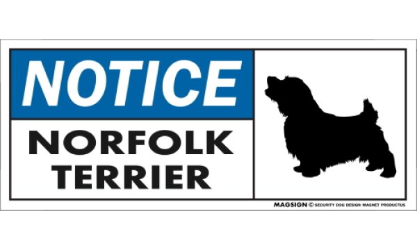 画像1: [MAGSIGN] ノーフォークテリア マグネット＆ステッカー 英語 お知らせ NOTICE NORFOLK TERRIER 対象:車(ドア/ガラス/ボディ)・屋外(玄関扉/窓ガラス/メールポスト) 日本製 (1)