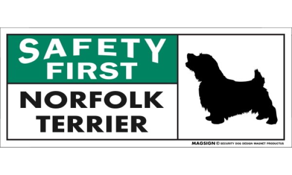 画像1: [MAGSIGN] ノーフォークテリア マグネット＆ステッカー 英語 安全第一 SAFETY FIRST NORFOLK TERRIER 対象:車(ドア/ガラス/ボディ)・屋外(玄関扉/窓ガラス/メールポスト) 日本製 (1)