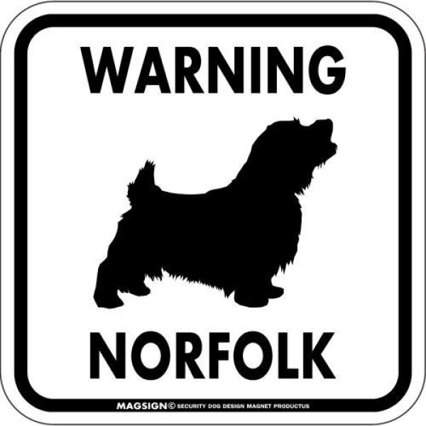 画像1: [MAGSIGN] WARNING NORFOLK マグネット＆ステッカー：ノーフォークテリア(ホワイト/イエロー/オレンジ) 注意 英語 正方形 車＆屋外用(防水性/耐光性) 日本製 (1)