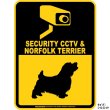 画像2: ノーフォークテリア＆防犯カメラ 監視 警戒中 英語 マグサイン(マグネット/ステッカー)：SECURITY CCTV ＆ NORFOLK TERRIER [MAGSIGN] (2)