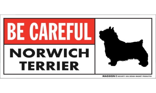 画像1: [MAGSIGN] ノーリッチテリア マグネット＆ステッカー (犬)気を付けて 英語 BE CAREFUL NORWICH TERRIER 対象:車(ドア/ガラス/ボディ)・屋外(玄関扉/窓ガラス/メールポスト) 日本製 (1)