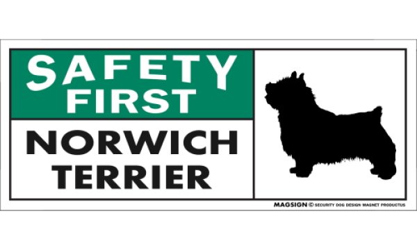 画像1: [MAGSIGN] ノーリッチテリア マグネット＆ステッカー 英語 安全第一 SAFETY FIRST NORWICH TERRIER 対象:車(ドア/ガラス/ボディ)・屋外(玄関扉/窓ガラス/メールポスト) 日本製 (1)