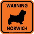 画像3: [MAGSIGN] WARNING NORWICH マグネット＆ステッカー：ノーリッチテリア(ホワイト/イエロー/オレンジ) 注意 英語 正方形 車＆屋外用(防水性/耐光性) 日本製 (3)