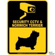 画像3: ノーリッチテリア＆防犯カメラ 監視 警戒中 英語 マグサイン(マグネット/ステッカー)：SECURITY CCTV ＆ NORWICH TERRIER [MAGSIGN] (3)