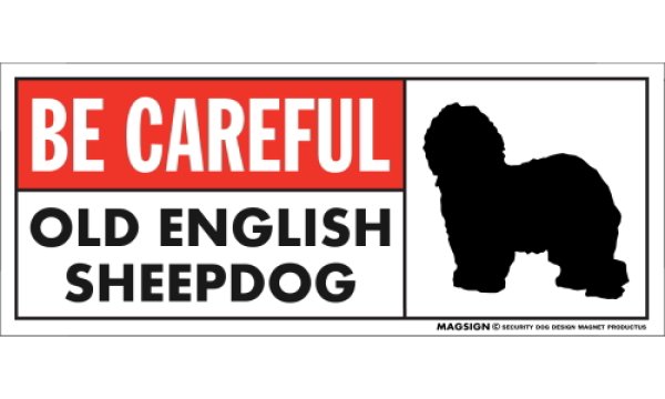 画像1: [MAGSIGN] オールドイングリッシュシープドッグ マグネット＆ステッカー (犬)気を付けて 英語 BE CAREFUL OLD ENGLISH SHEEPDOG 対象:車(ドア/ガラス/ボディ)・屋外(玄関扉/窓ガラス/メールポスト) 日本製 (1)