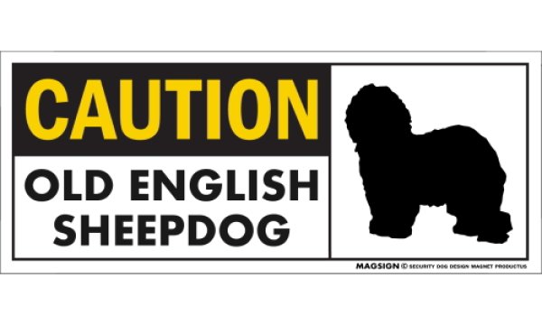 画像1: [MAGSIGN] オールドイングリッシュシープドッグ マグネット＆ステッカー 英語 警戒 CAUTION OLD ENGLISH SHEEPDOG 対象:車(ドア/ガラス/ボディ)・屋外(玄関扉/窓ガラス/メールポスト) 日本製 (1)