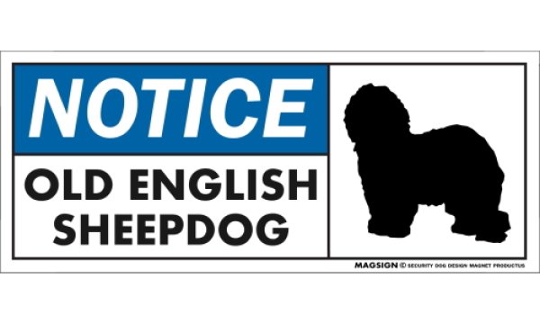 画像1: [MAGSIGN] オールドイングリッシュシープドッグ マグネット＆ステッカー 英語 お知らせ NOTICE OLD ENGLISH SHEEPDOG 対象:車(ドア/ガラス/ボディ)・屋外(玄関扉/窓ガラス/メールポスト) 日本製 (1)