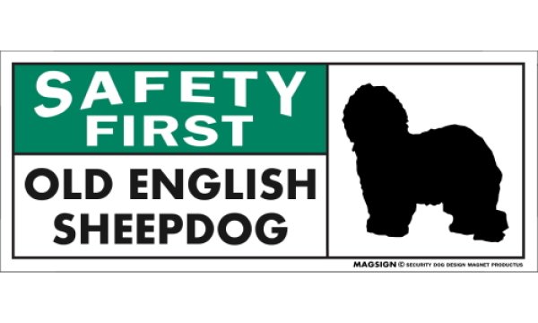 画像1: [MAGSIGN] オールドイングリッシュシープドッグ マグネット＆ステッカー 英語 安全第一 SAFETY FIRST OLD ENGLISH SHEEPDOG 対象:車(ドア/ガラス/ボディ)・屋外(玄関扉/窓ガラス/メールポスト) 日本製 (1)