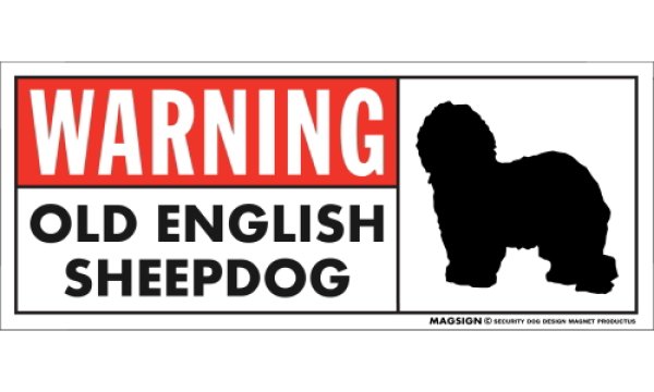 画像1: [MAGSIGN] オールドイングリッシュシープドッグ 注意マグネット＆ステッカー 英語 警戒/警告 WARNING OLD ENGLISH SHEEPDOG 対象:車(ドア/ガラス/ボディ)・屋外(玄関扉/窓ガラス/メールポスト) 日本製 (1)