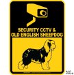 画像1: オールドイングリッシュシープドッグ＆防犯カメラ 監視 警戒中 英語 マグサイン(マグネット/ステッカー)：SECURITY CCTV ＆ OLD ENGLISH SHEEPDOG [MAGSIGN] (1)