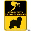 画像2: オールドイングリッシュシープドッグ＆防犯カメラ 監視 警戒中 英語 マグサイン(マグネット/ステッカー)：SECURITY CCTV ＆ OLD ENGLISH SHEEPDOG [MAGSIGN] (2)
