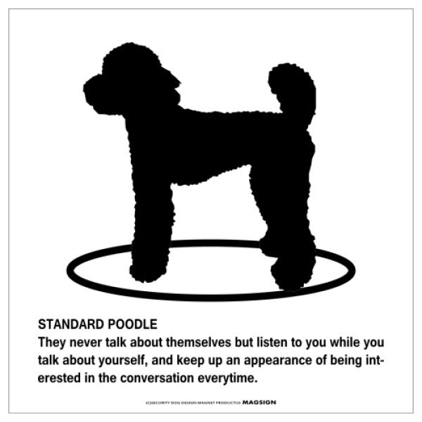 画像1: STANDARD POODLE'S POEM [MAGSIGN] ポエムシリーズ マグネット＆ステッカー 防水/耐水・耐光性 日本製 英語＆シルエット：スタンダードプードル（ホワイト/イエロー） (1)