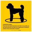 画像2: STANDARD POODLE'S POEM [MAGSIGN] ポエムシリーズ マグネット＆ステッカー 防水/耐水・耐光性 日本製 英語＆シルエット：スタンダードプードル（ホワイト/イエロー） (2)