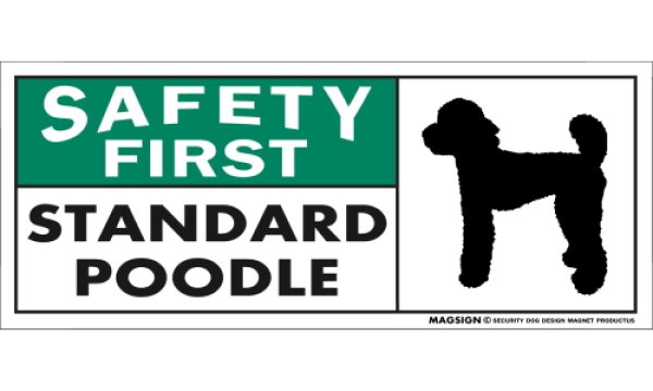 画像1: [MAGSIGN] スタンダードプードル マグネット＆ステッカー 英語 安全第一 SAFETY FIRST STANDARD POODLE 対象:車(ドア/ガラス/ボディ)・屋外(玄関扉/窓ガラス/メールポスト) 日本製 (1)