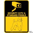 画像1: スタンダードプードル＆防犯カメラ 監視 警戒中 英語 マグサイン(マグネット/ステッカー)：SECURITY CCTV ＆ STANDARD POODLE [MAGSIGN] (1)